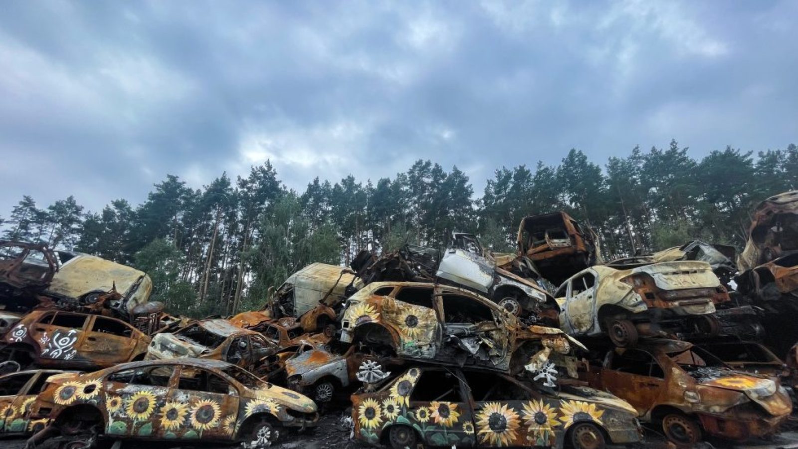 Sunflowers painted on piled up old cars