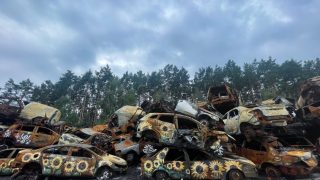 Sunflowers painted on piled up old cars