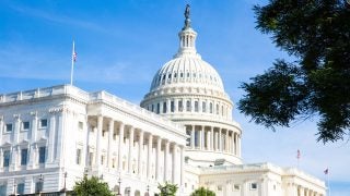 U.S. Capitol from Senate side, during daytime.