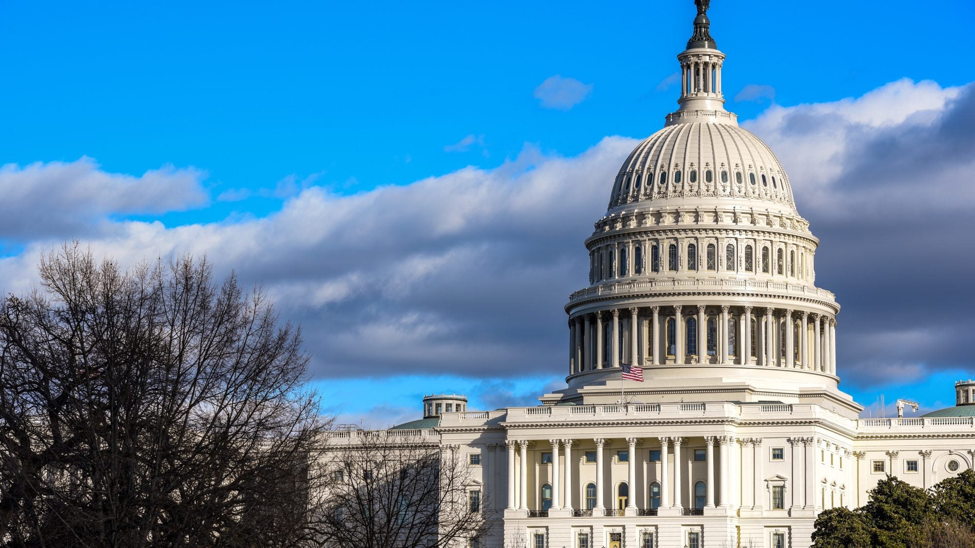 An image of the U.S. Capitol on a bright blue winter day. A blue-purple cloud streaks across the sky behind the Capitol, and a leafless tree is on the building&#039;s left.