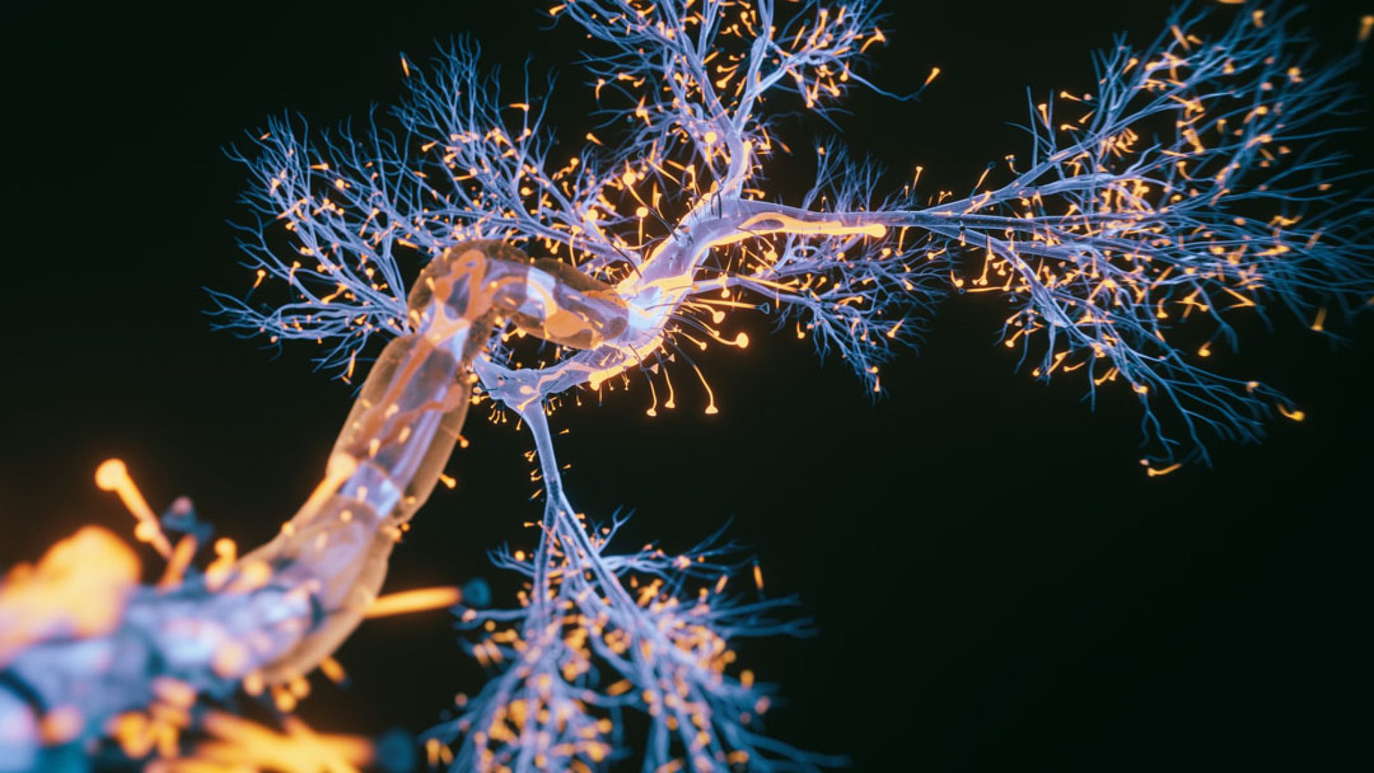 Neurons in the brain, lit up against black background.