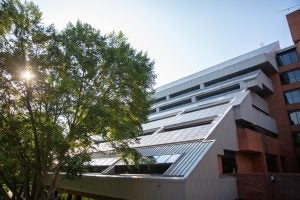 A view of the side of the roof of Georgetown's Intercultural Center, which has solar roof panels. On the left-hand side of the photo is a tree with its leaves lit up from the sun behind it.