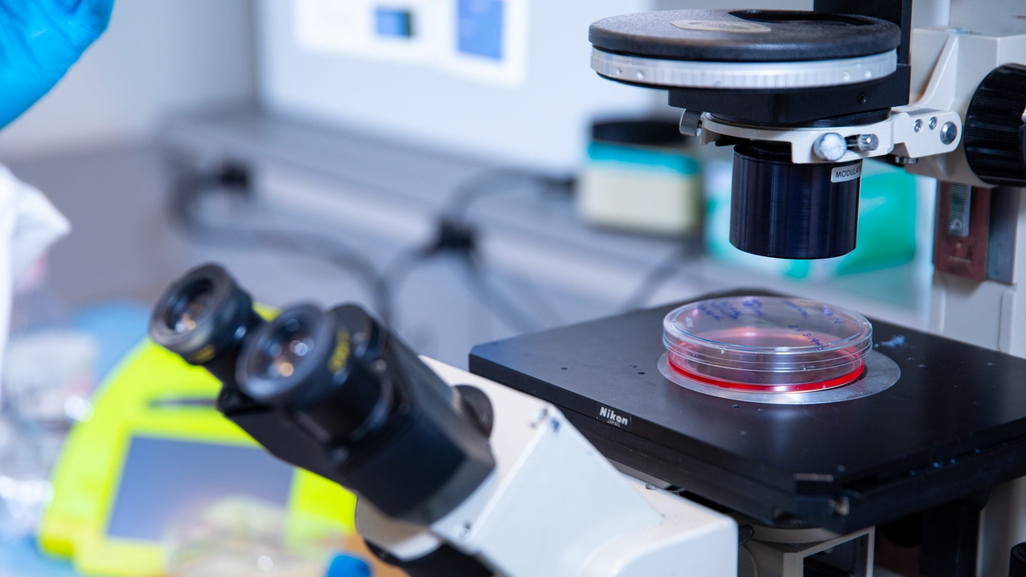 A laboratory setting with a microscope and a petri dish on a stand.