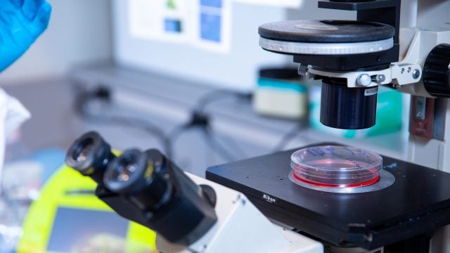 A laboratory setting with a microscope and a petri dish on a stand.