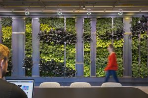 Student on computer facing living green wall as someone passes by.