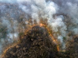 Aerial view of a wildfire