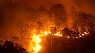 A wildfire burning at night