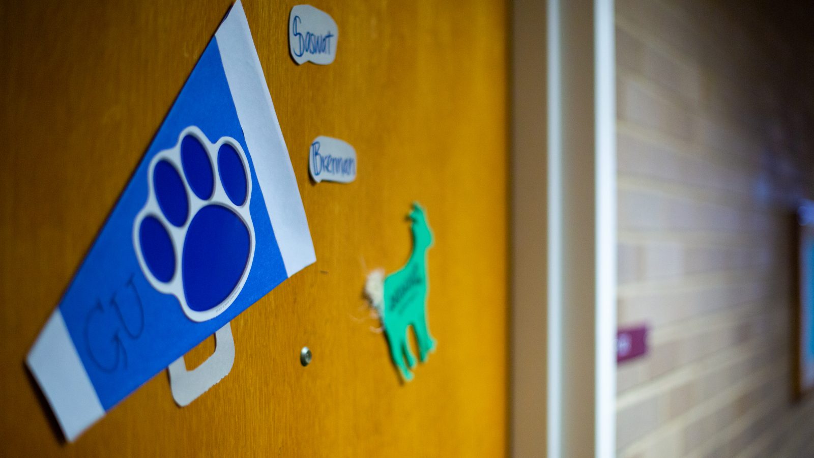 Blue pennant with a paw print on it hangs on dorm door