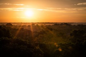 Sunset over the Amazon rainforest