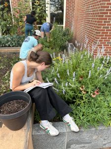 A student sits on the ground in a garden with a notebook in her lap as she studies a flowering green plant.