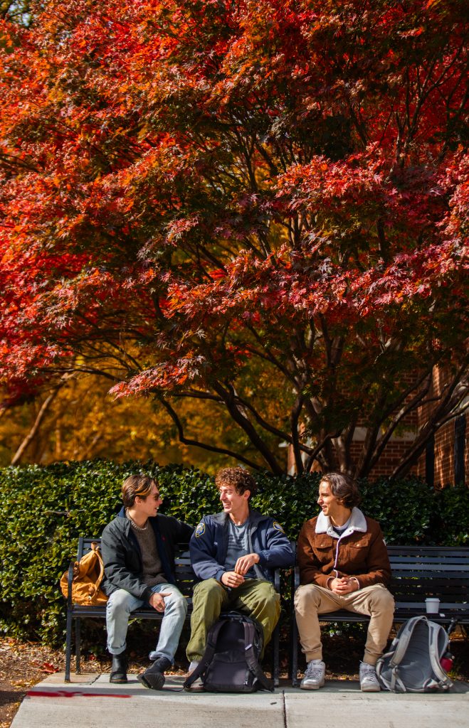 Three white male students sit on a park bench talking and laughing with one another in front of a tree with bright red and orange leaves.
