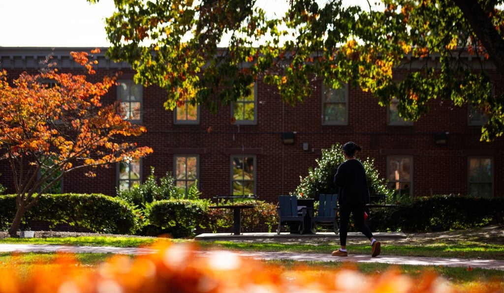 Georgetown's trees change color on a sparkling sunny day.