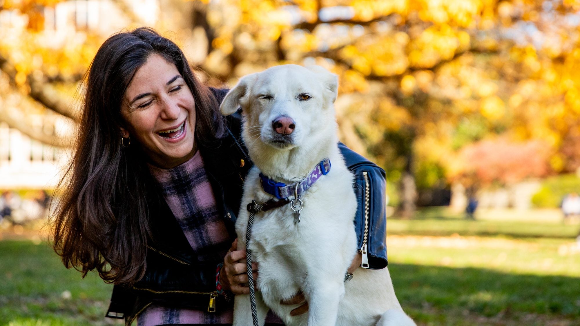 A woman kneeling with her white dog on a fall day