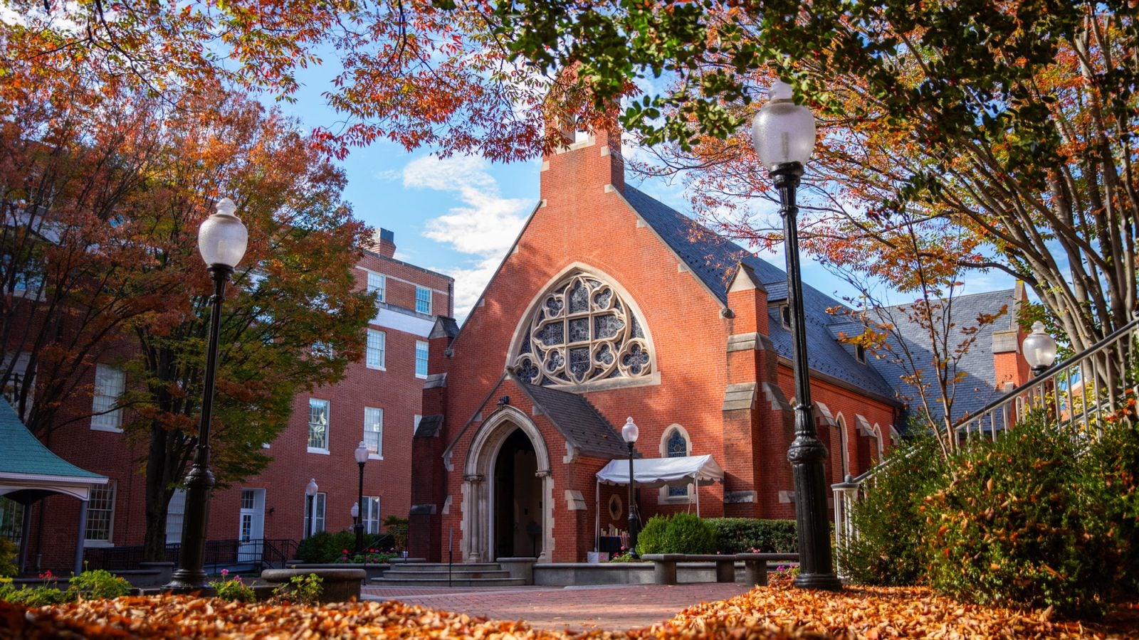 The sun streams through trees onto Dahlgren Quad, with leaves on the ground.