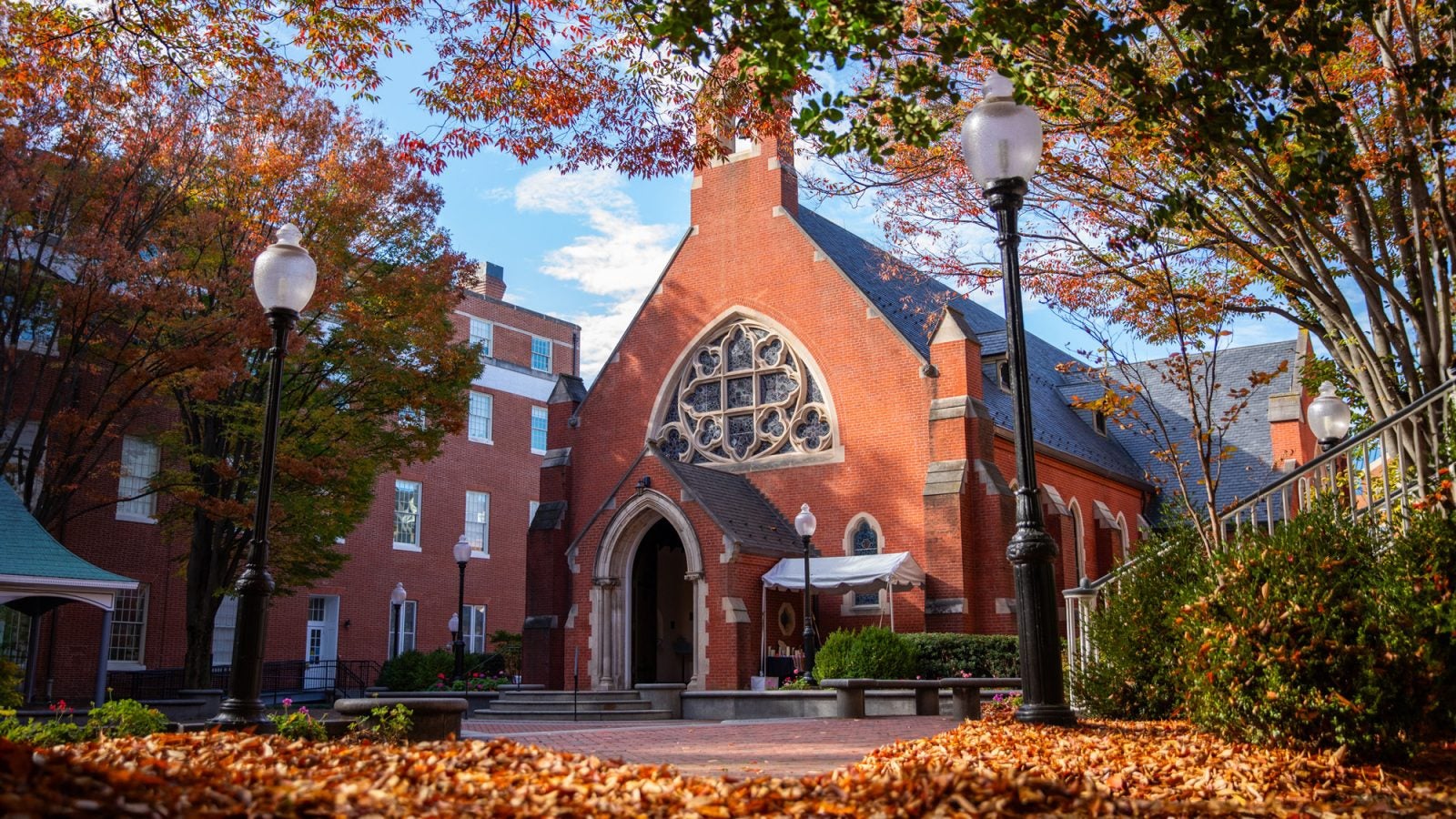 The sun streams through trees onto Dahlgren Quad, with leaves on the ground.