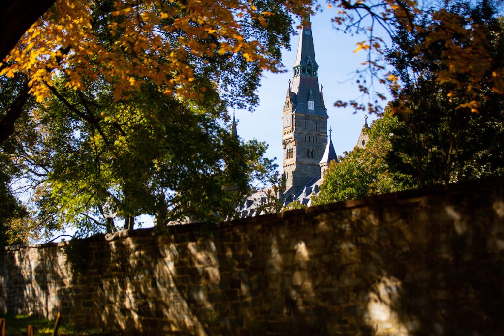 Sun speckles on a stone wall in peak fall with Georgetown's Healy Clocktower in the background.