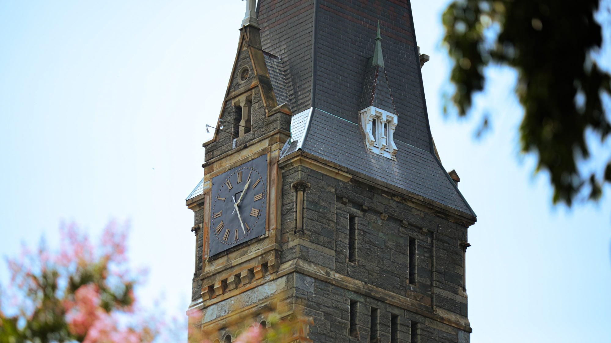 Healy Hall framed by flowering trees on a sunny day