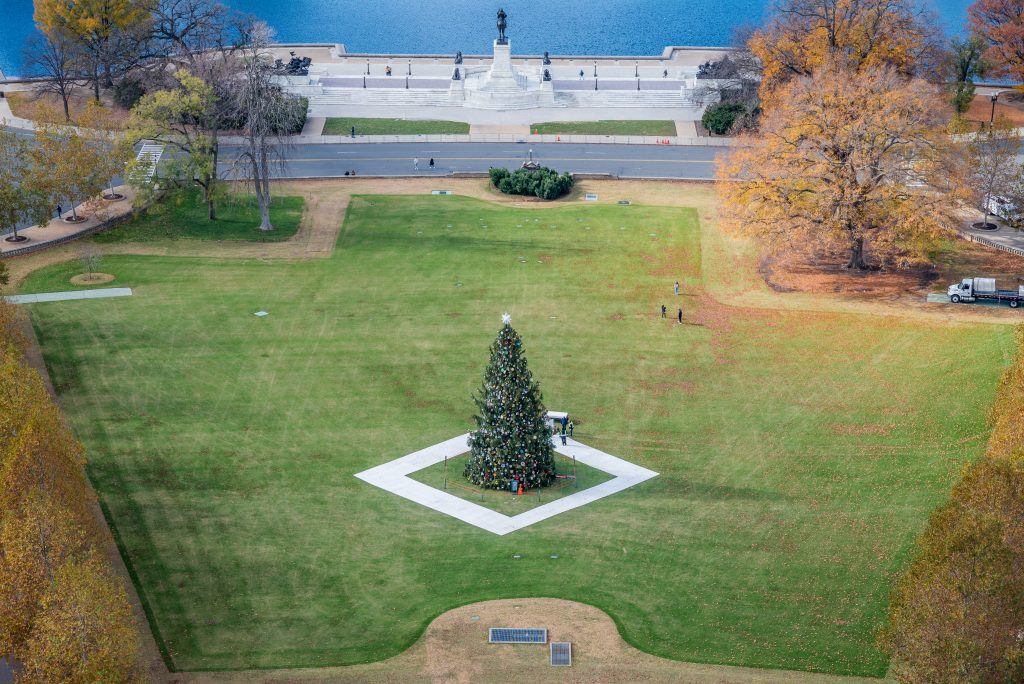 DC Christmas tree