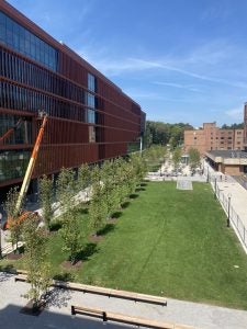 A green lawn with streets planted sprouts outside the new Verstandig Pavilion on Georgetown's campus on a sunny day.