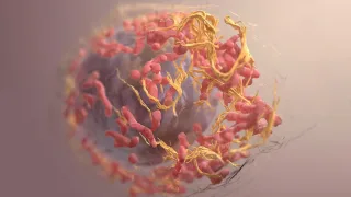 A 3D structure of a melanoma cell derived by ion abrasion scanning electron microscopy.