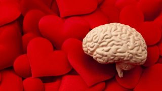 Model human brain with red hearts in the background