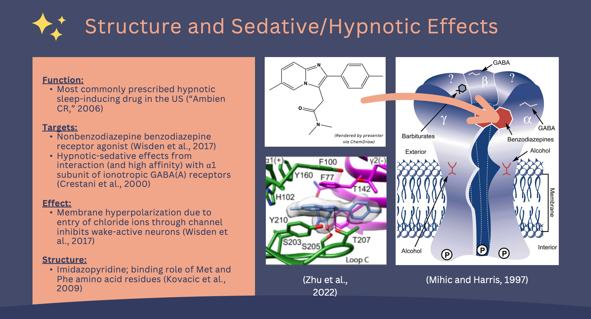 Slides from Ambien drug presentation.