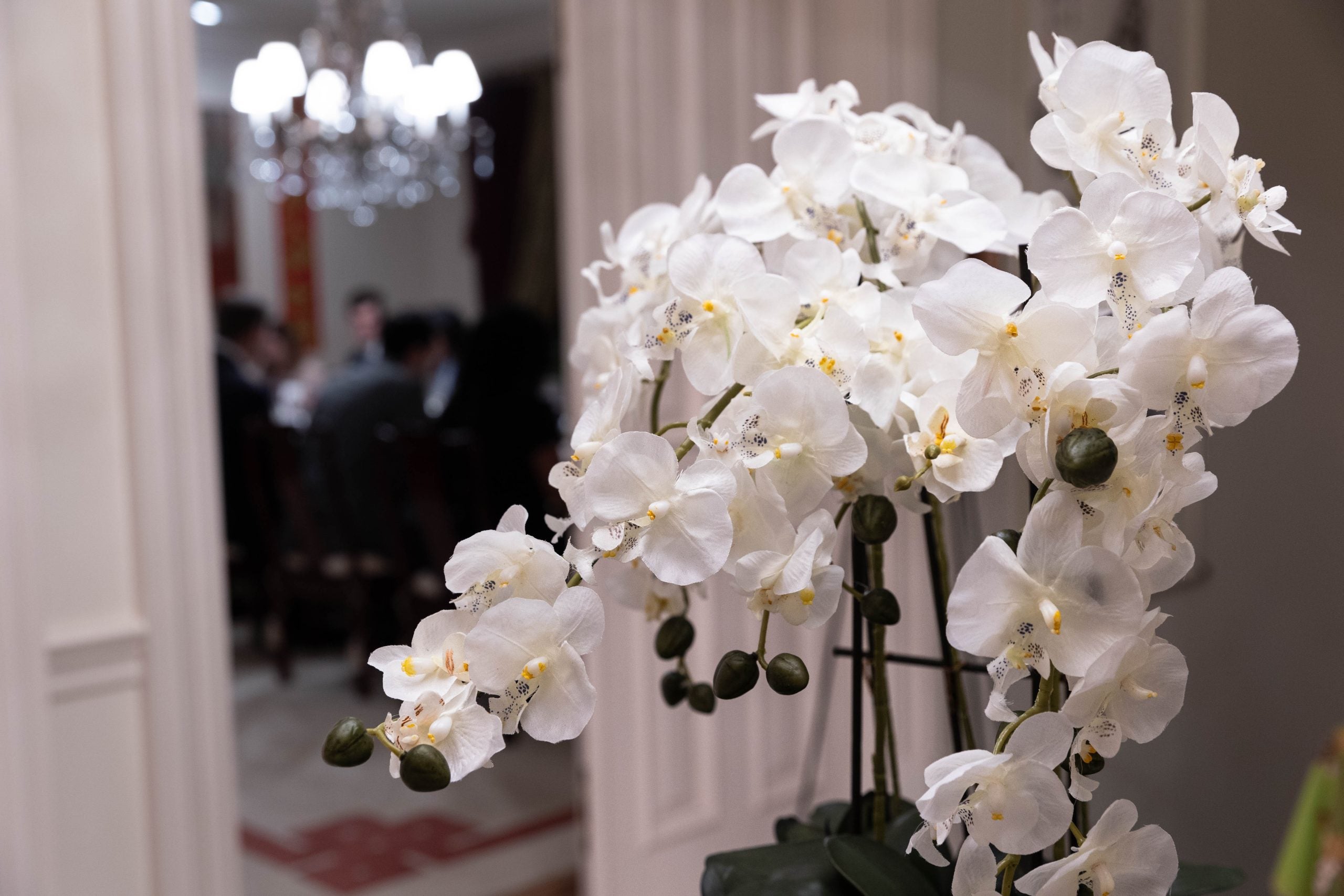 A decoration of white flowers by a door where everyone is eating dinner