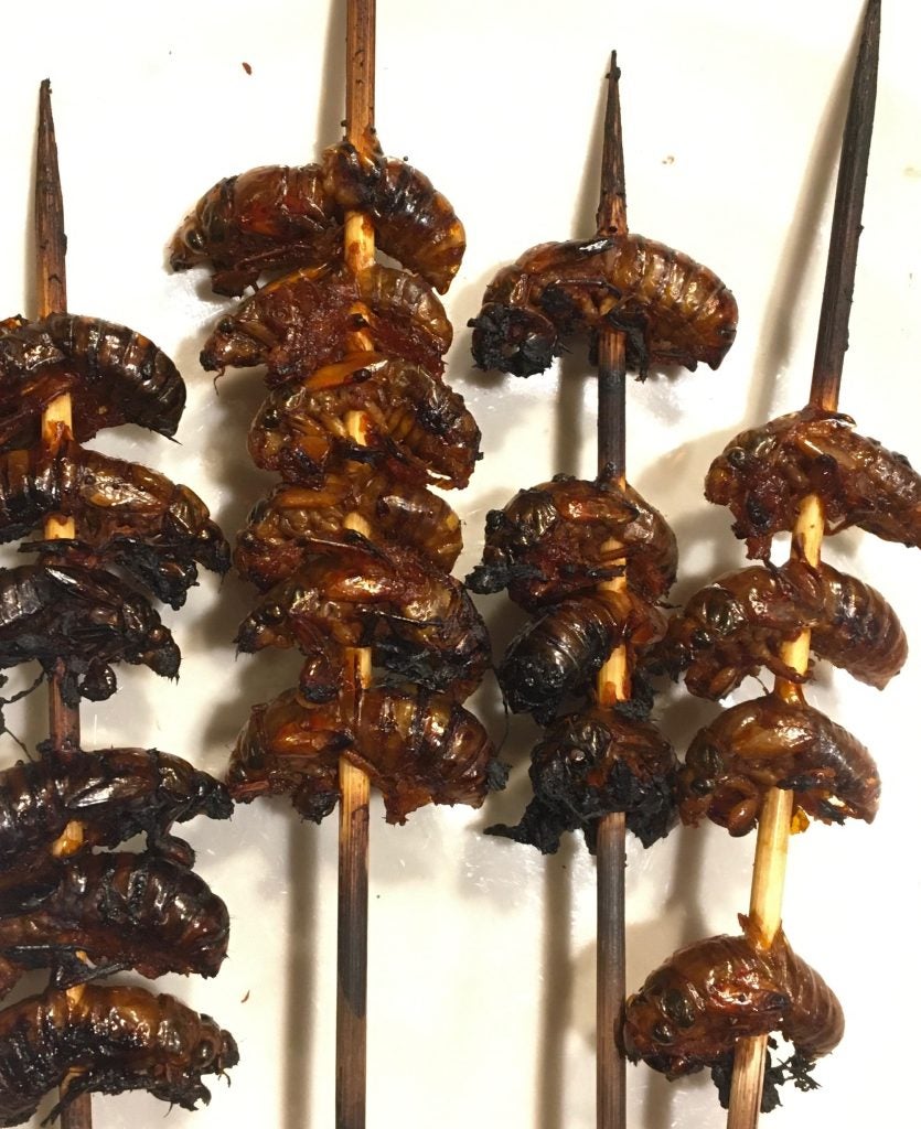 Teriyaki roasted cicadas on a skewer