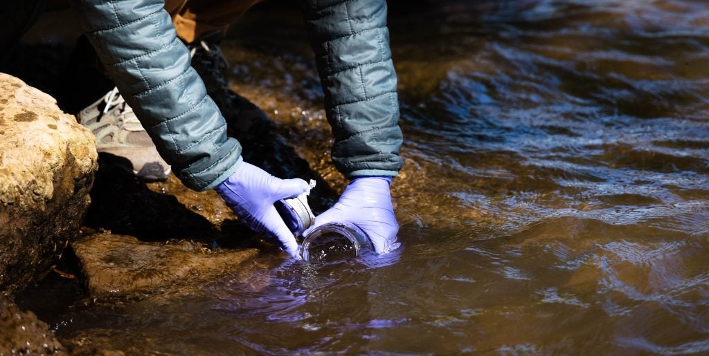 A close-up of a woman filling a jar with water on the shoreline. She wears purple gloves.