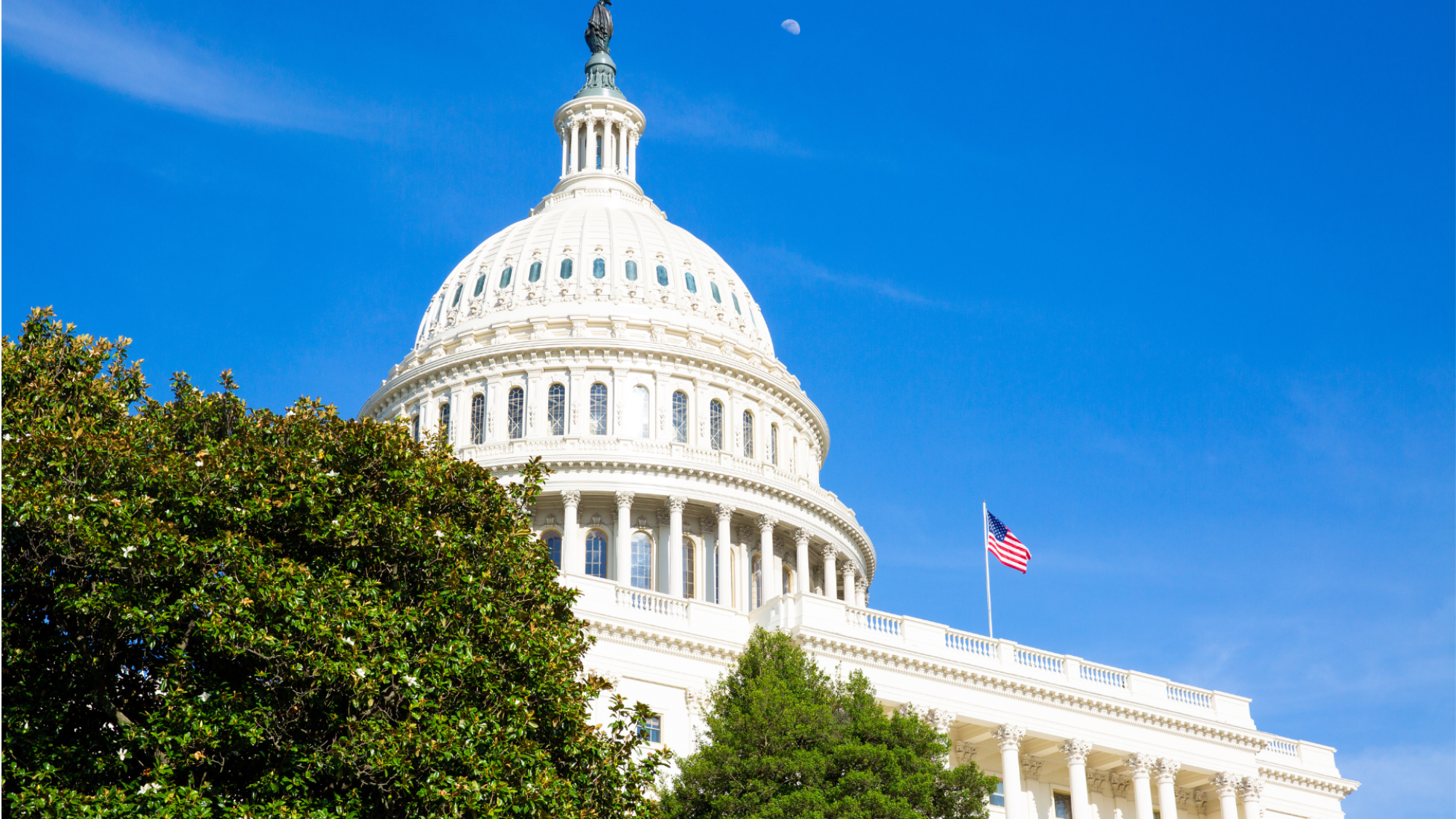 The U.S. Capitol
