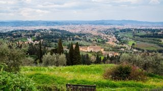 View of Florence from a hill on a cloudy day