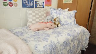 Stuffed animals on a bed in a dorm room