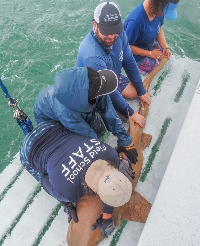 A group of people hold a shark on the side of a boat
