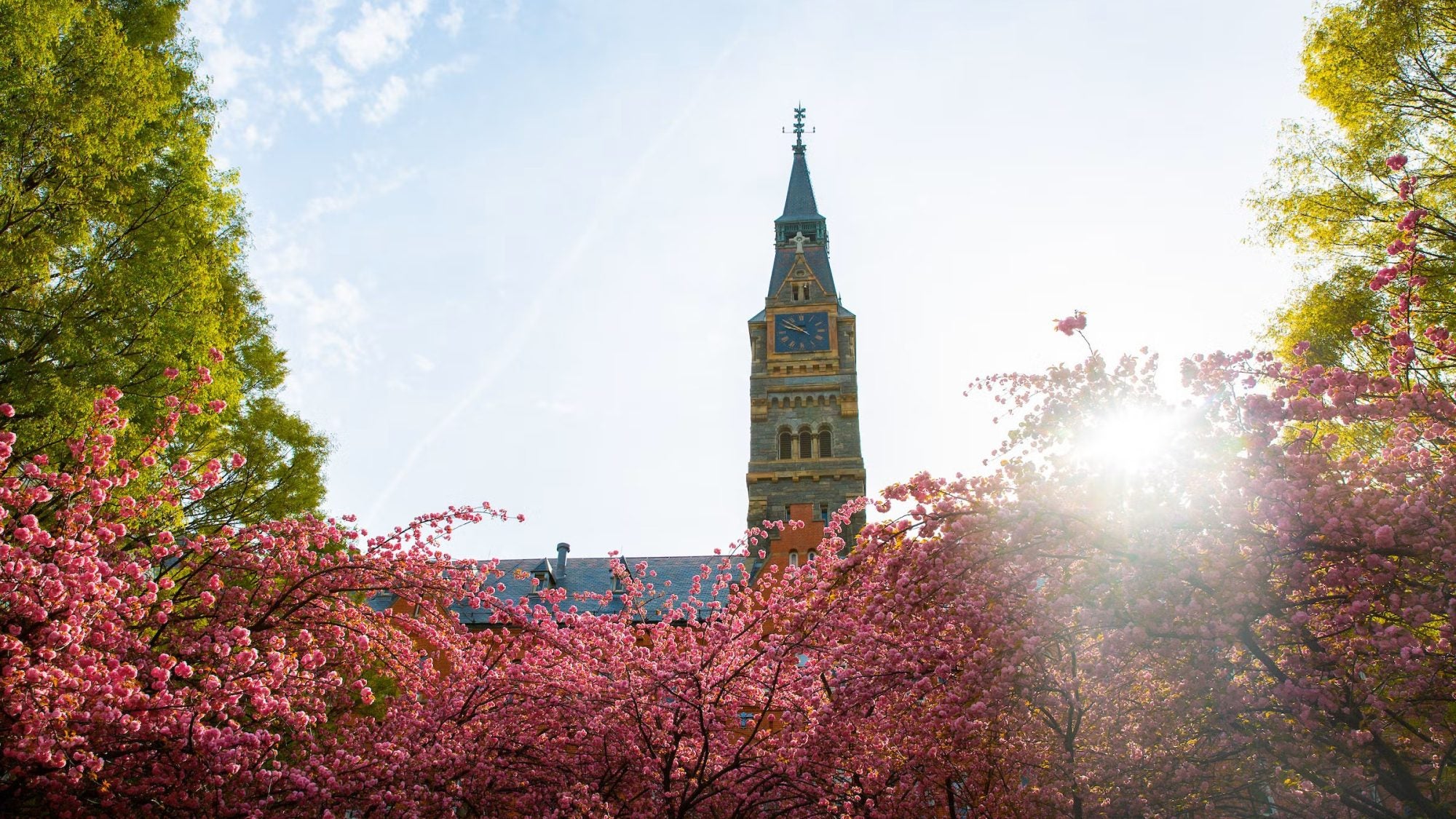 A clocktower with pink flowers on a sunny day