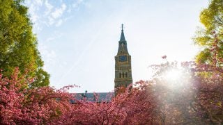 A clocktower with pink flowers on a sunny day