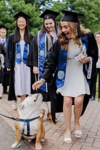 Young woman graduate plays with Jack the Bulldog