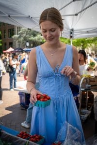 Young woman holds carton of tomatoes