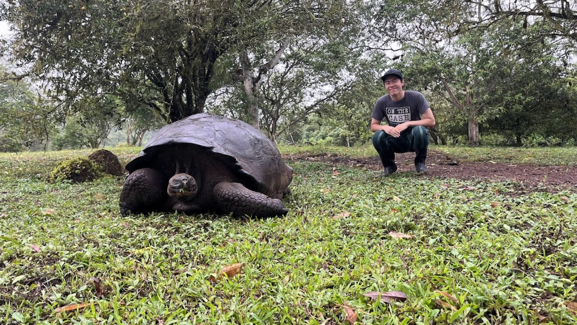 Jeremy squatting next to a tortoise