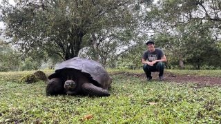 Jeremy squatting next to a tortoise
