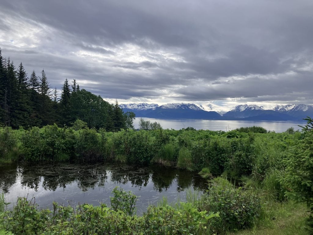 A view of a pond with a bay and mountains in the background
