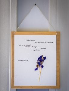 A frame portrait of a quote and a pressed flower