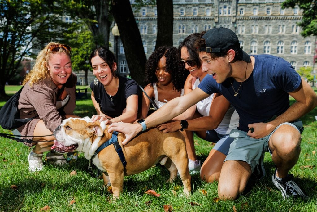 Students pet Jack the Bulldog on a lawn