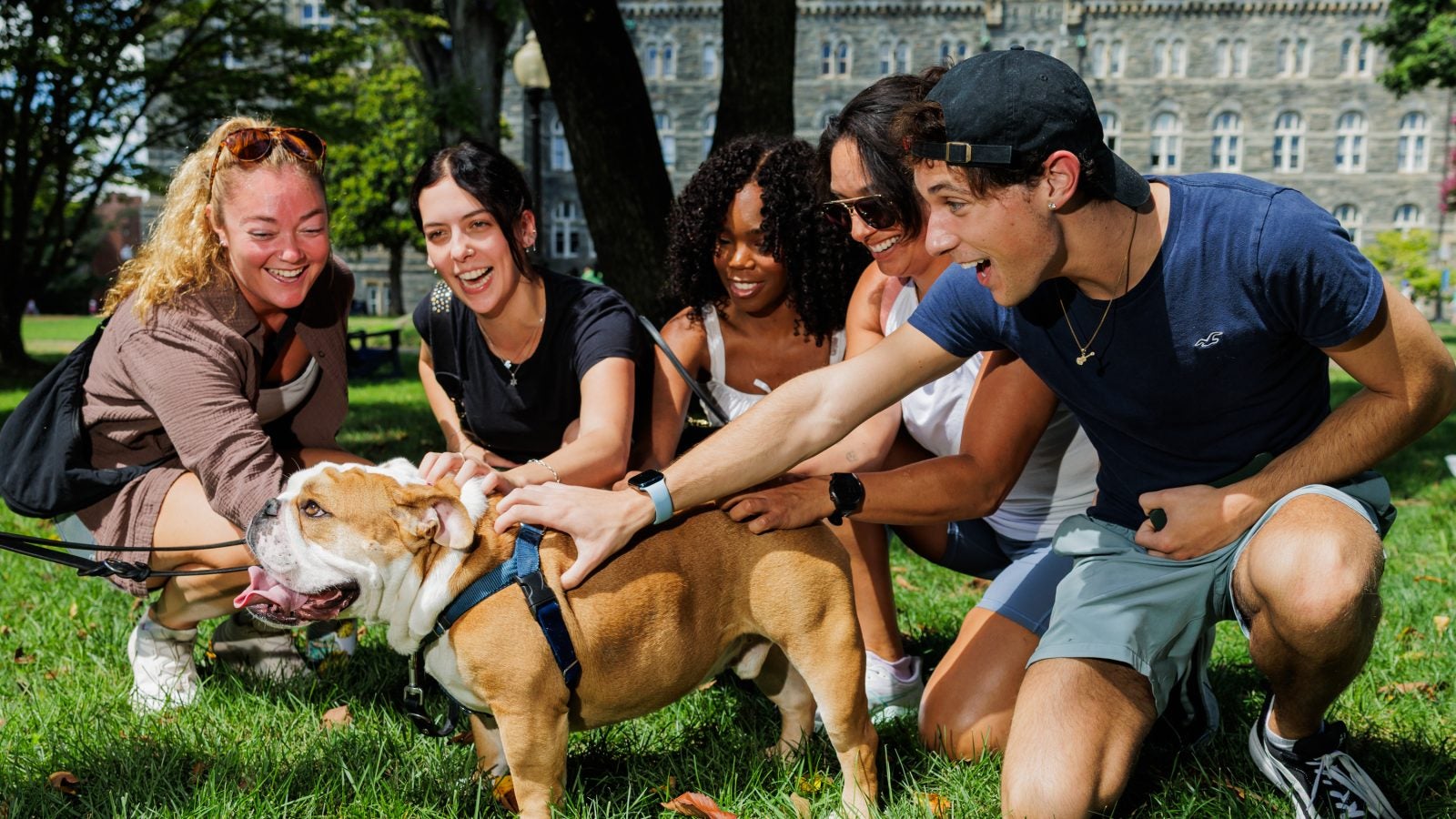 Students pet Jack the Bulldog on a lawn