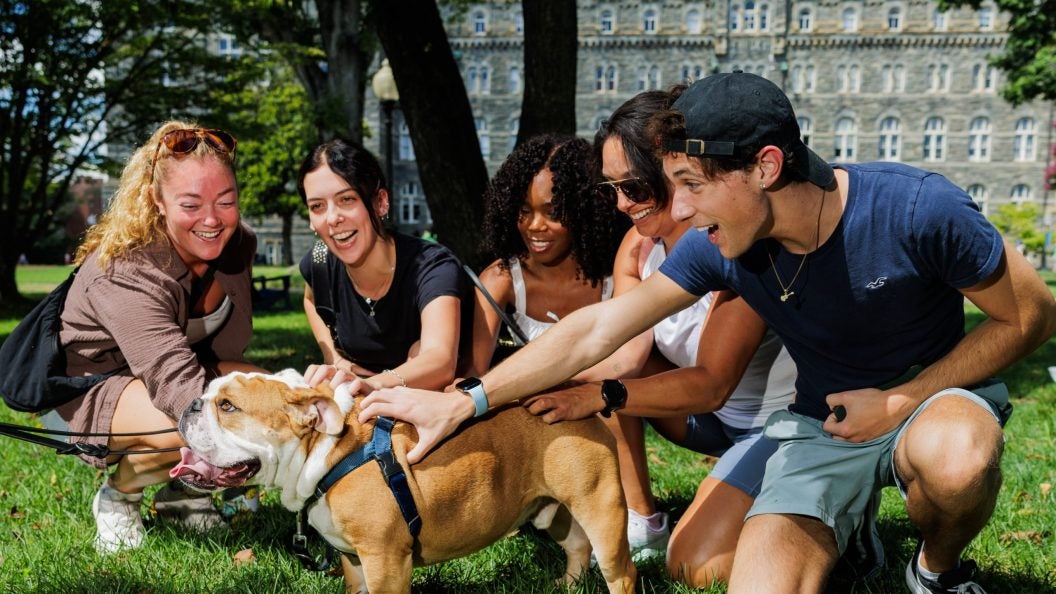 Students pet Jack the Bulldog on a lawn