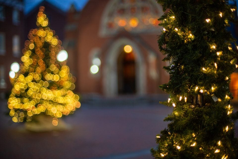 A Christmas tree lit up on Dahlgren quad