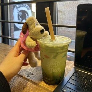 An iced match drink with a stuffed animal on it