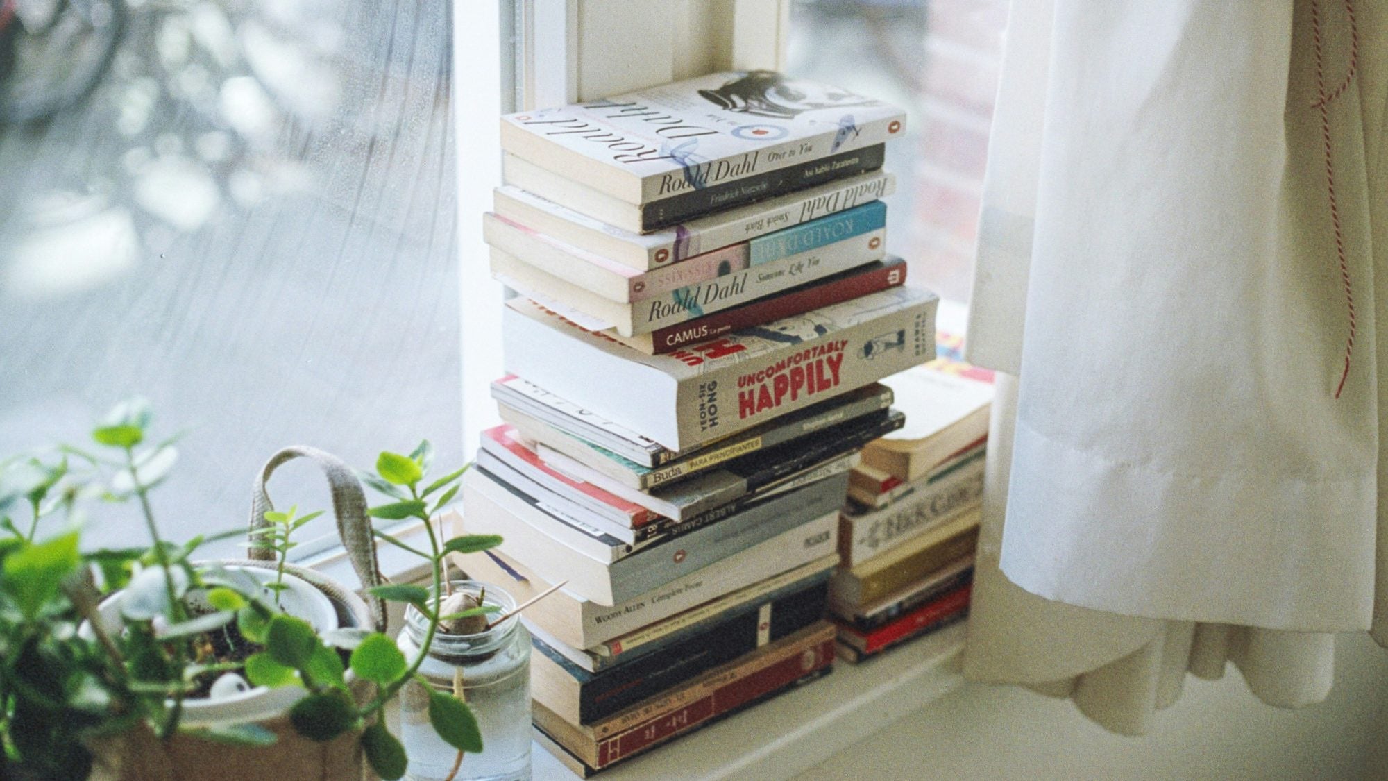 A stack of books on a windowsill next to a plant
