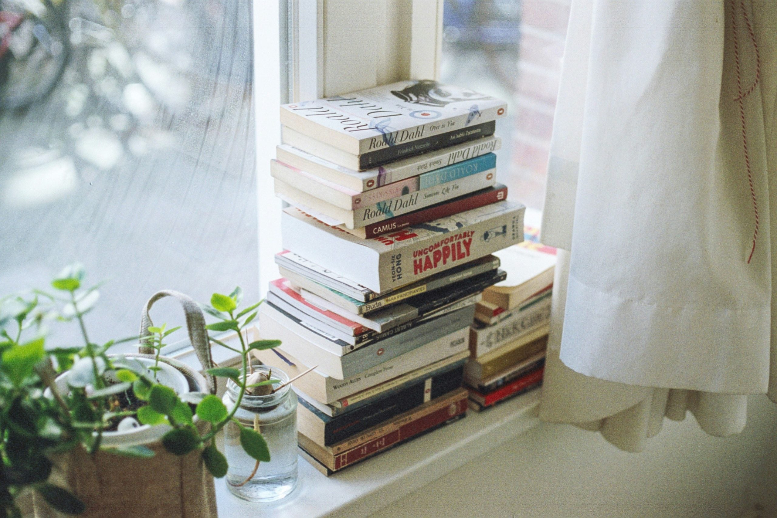 A stack of books on a windowsill next to a plant
