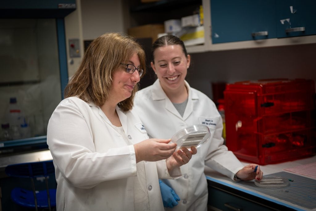 Two scientists in white coats look at a dish in a lab