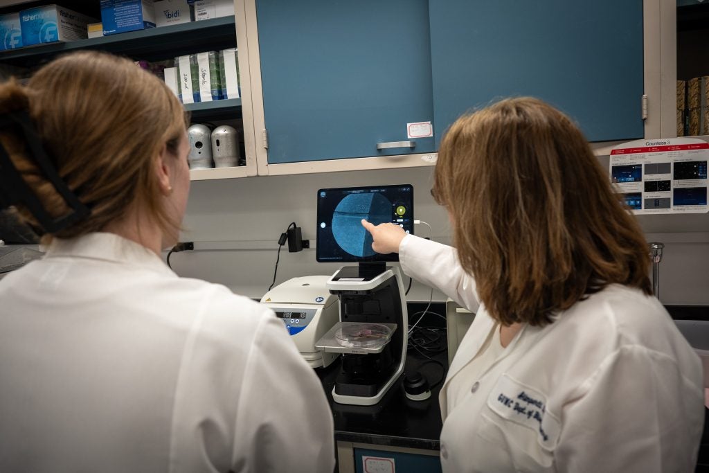 A scientists points out a cell on a screen to another scientists in the lab